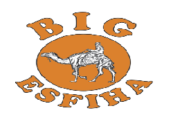 BIG ESFIHA - Comer e Beber, Pizzarias, Esfihas, Delivery, Disk Pizza